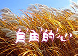 如何加快網站的訪問速度？